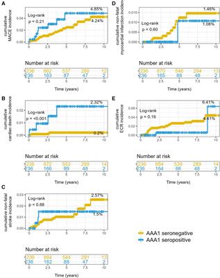 Anti-apolipoprotein A-1 IgG, incident cardiovascular events, and lipid paradox in rheumatoid arthritis